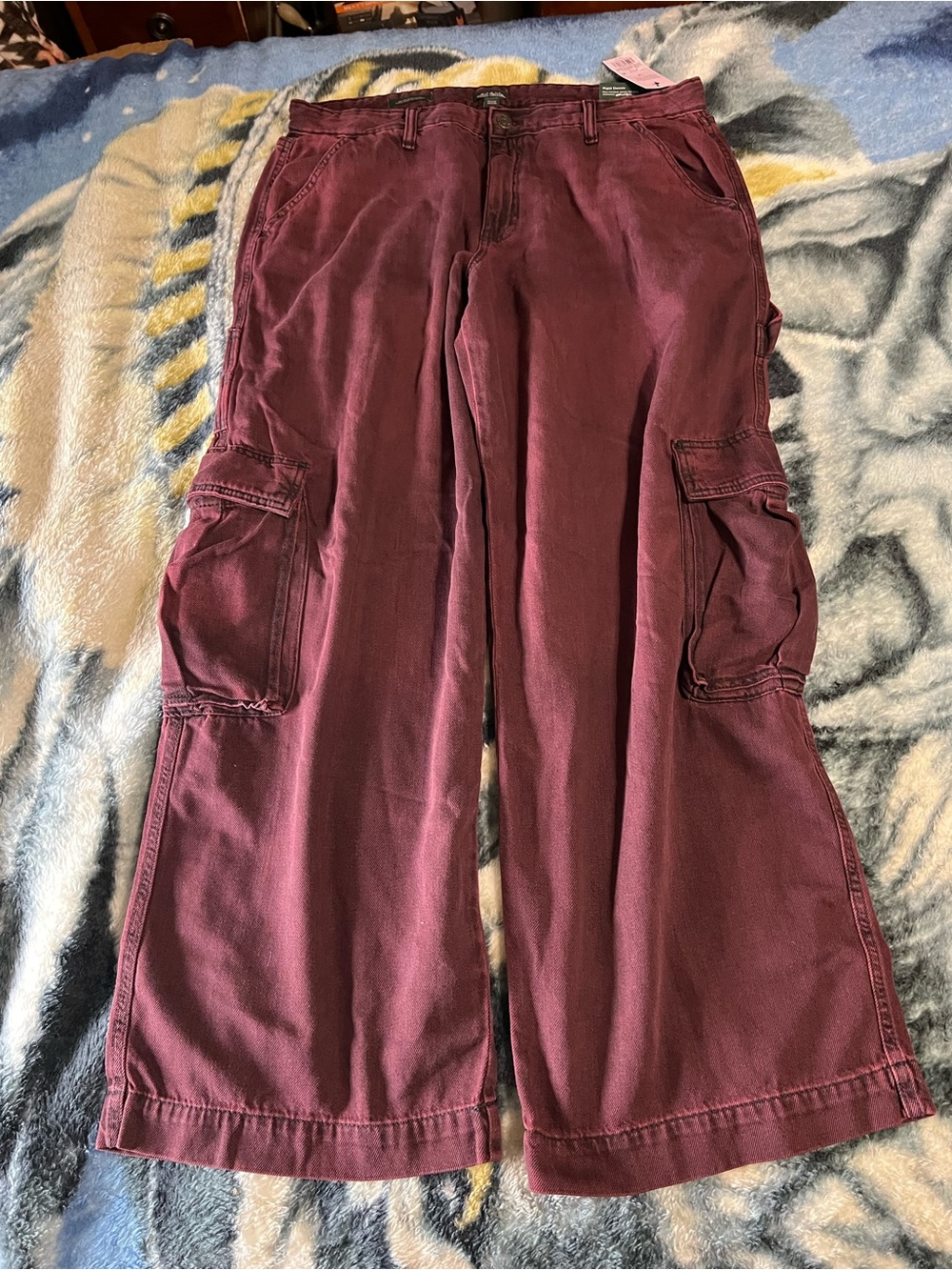 wild fable Maroon Cargo Jeans
